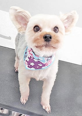 源川源之介ちゃん