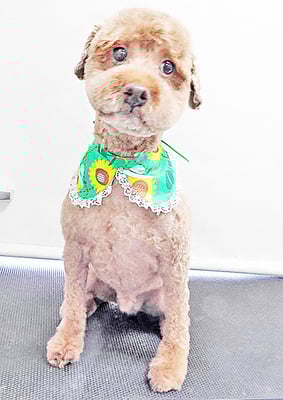 山元風介ちゃん