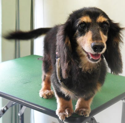 斉野平サンジちゃん