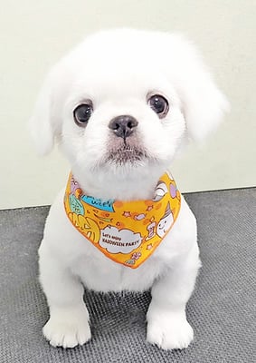 上村ルナちゃん