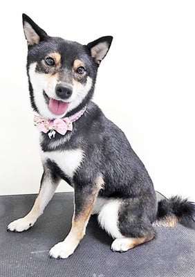 西元風子ちゃん