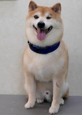 竹崎クウちゃん