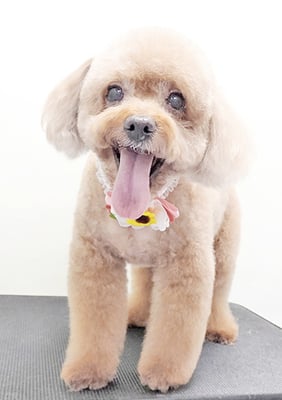 木口ももちゃん