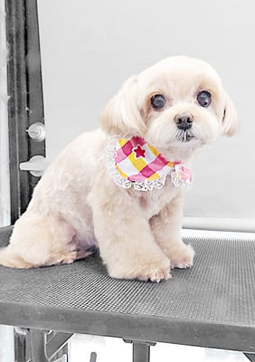 永濱サラちゃん