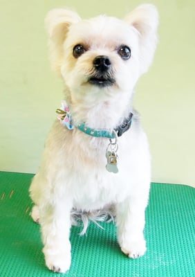 岡元ベリーちゃん