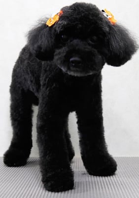 中井ヒナちゃん