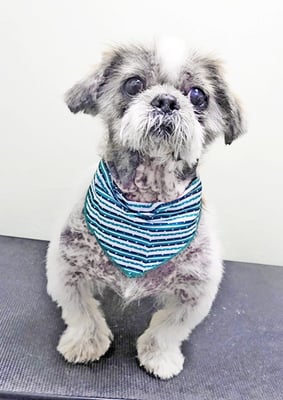 有馬陸斗ちゃん