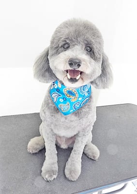 橋口最中ちゃん