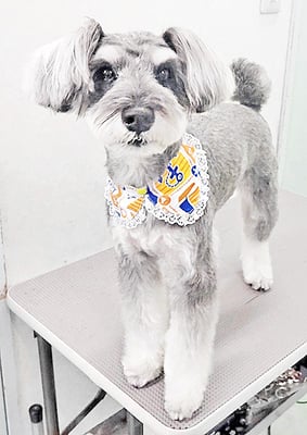 糸山そらちゃん