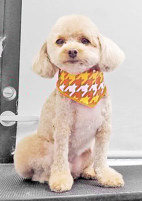 岩元ナノちゃん