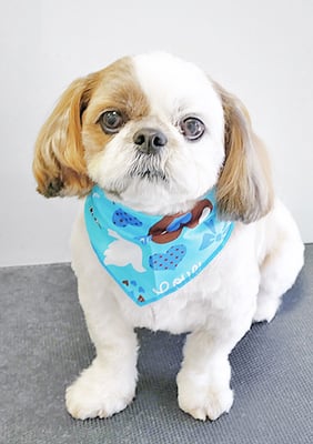 中川ココちゃん