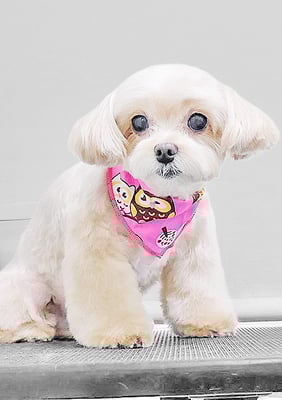 永濱サラちゃん