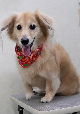 江口エルちゃん