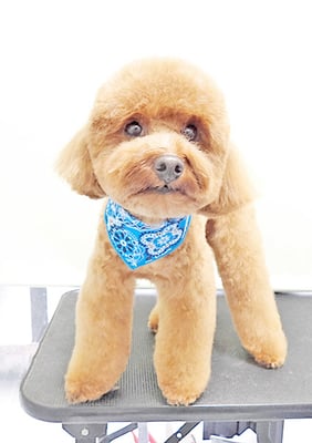 大山弦之介ちゃん