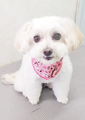 濱島クレアちゃん