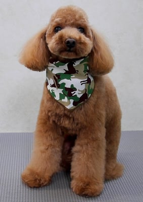 森田諭吉ちゃん