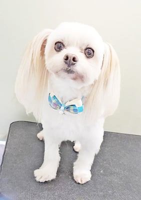 大脇ココアちゃん