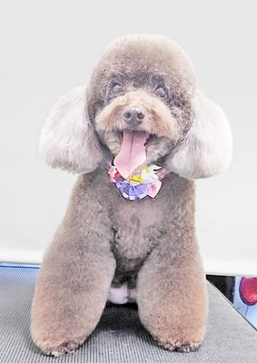 山口クレアちゃん