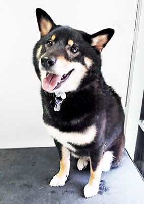 貴島ボタンちゃん