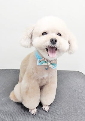 肥田クゥちゃん