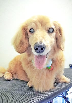 湯田ハヤテちゃん