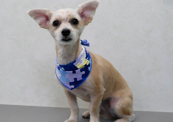 上山英斗ちゃん