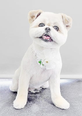 太崎ちゅらちゃん