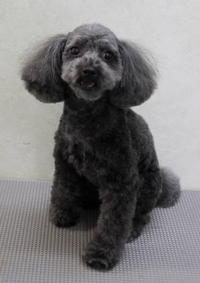 森崎ラブちゃん