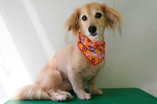 江口エルちゃん