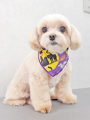 永濱サラちゃん