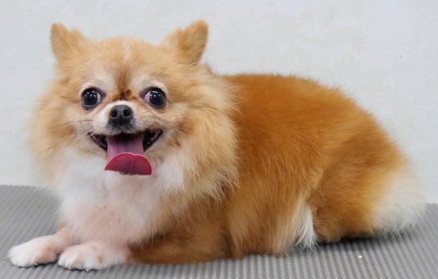 川田オカンちゃん