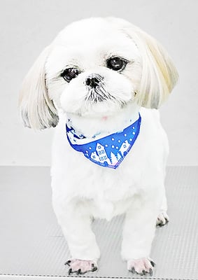 久永ナルちゃん