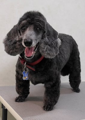 梶原リヴちゃん