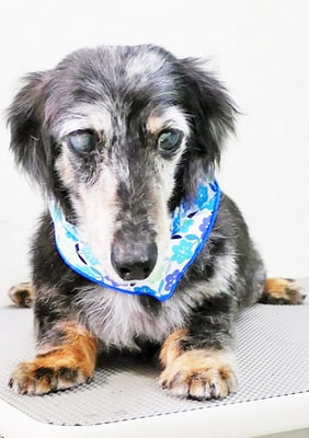 西山ユウちゃん