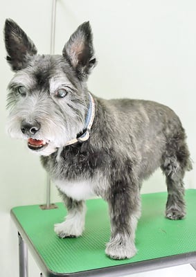 蔵薗ヒメちゃん