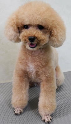 肥田クウちゃん