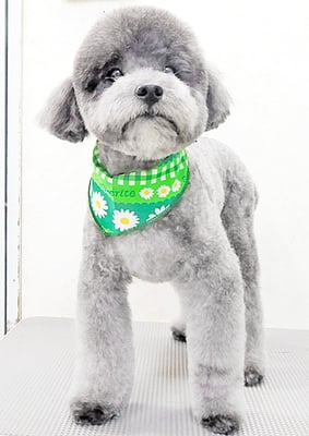 菅原そらちゃん