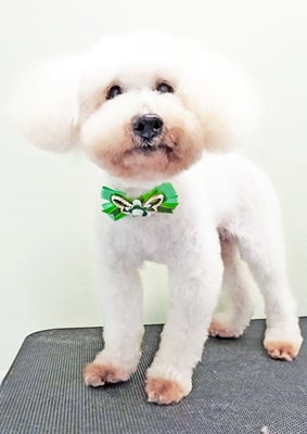 工藤ぷー太郎ちゃん