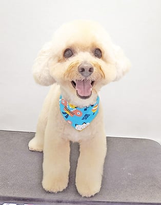 松田めろんちゃん