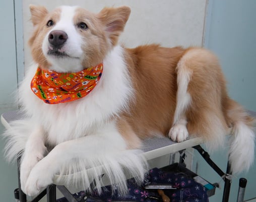 森本アンズちゃん