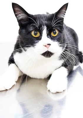 山崎まるちゃん