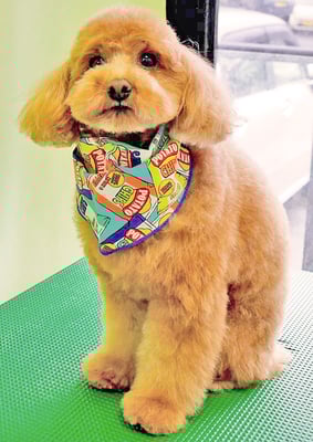 森田諭吉ちゃん