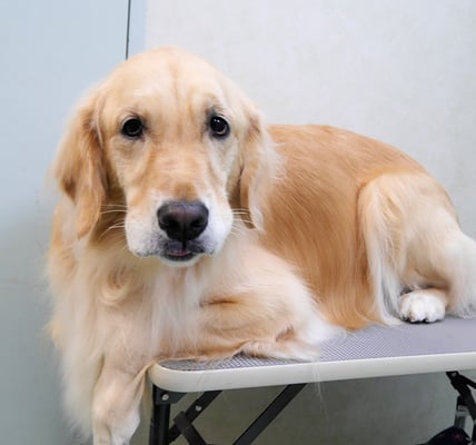 美代ジューンちゃん