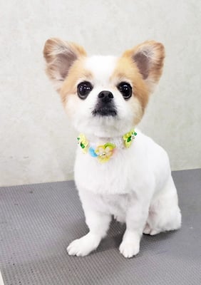 福永ハルちゃん