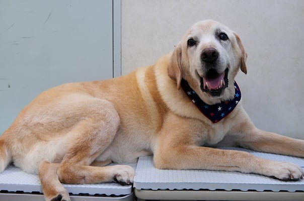 平松マックスちゃん