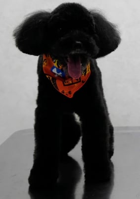 中井ヒナちゃん