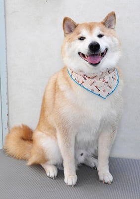 竹崎くうちゃん