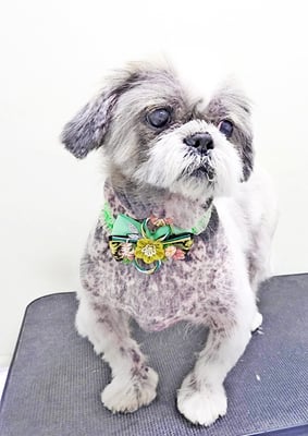 有馬陸斗ちゃん