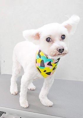 福元ミルクちゃん