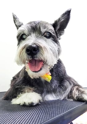 蔵薗ヒメちゃん